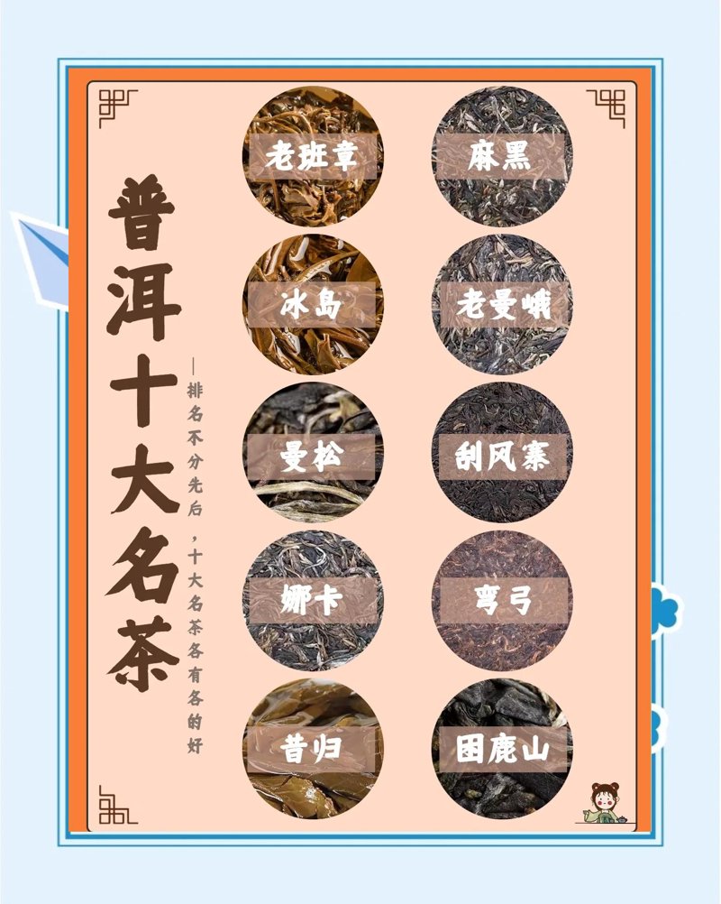 轻松掌握绿茶直销秘籍