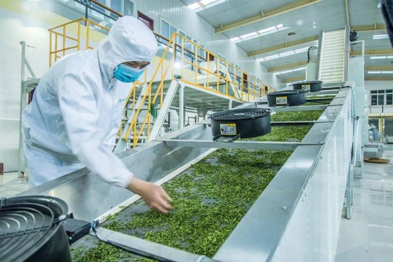 红茶的定制艺术：品味独特魅力
